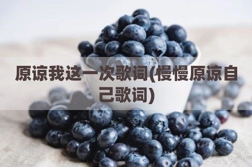原谅我这一次歌词(慢慢原谅自己歌词)