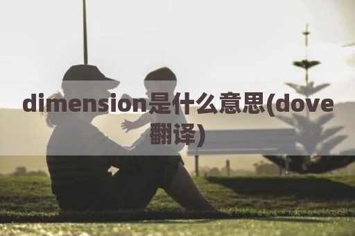 dimension是什么意思(dove翻译)