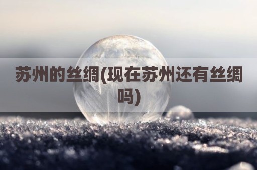 苏州的丝绸(现在苏州还有丝绸吗)