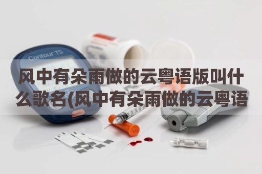 风中有朵雨做的云粤语版叫什么歌名(风中有朵雨做的云粤语版叫什么)