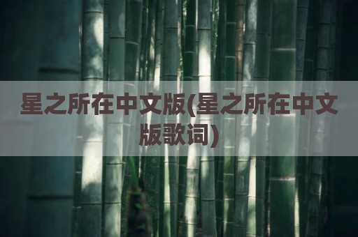 星之所在中文版(星之所在中文版歌词)
