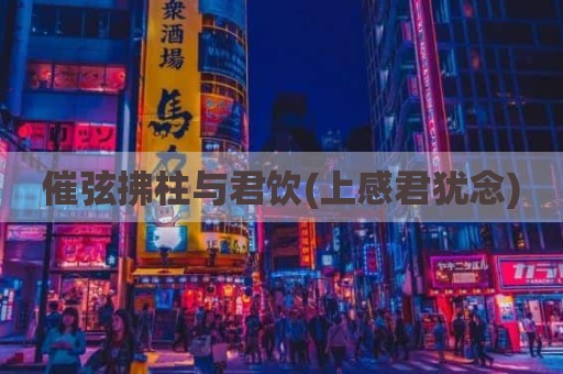 催弦拂柱与君饮(上感君犹念)