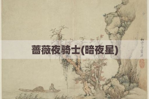 蔷薇夜骑士(暗夜星)