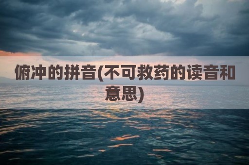 俯冲的拼音(不可救药的读音和意思)