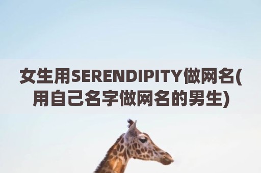 女生用SERENDIPITY做网名(用自己名字做网名的男生)