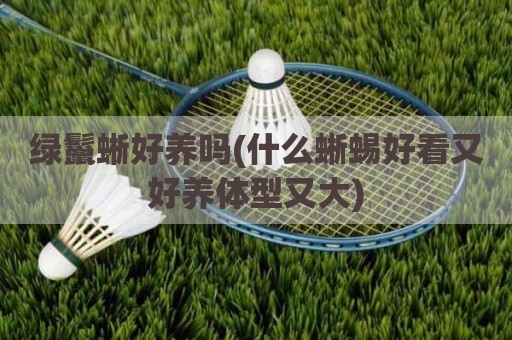 绿鬣蜥好养吗(什么蜥蜴好看又好养体型又大)