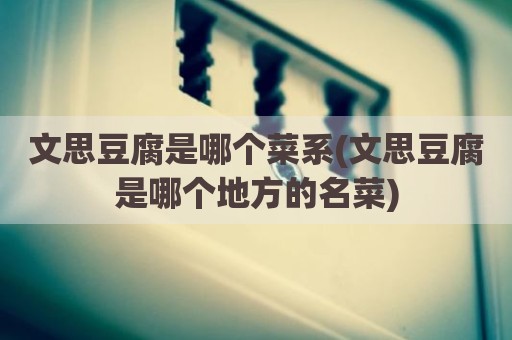 文思豆腐是哪个菜系(文思豆腐是哪个地方的名菜)