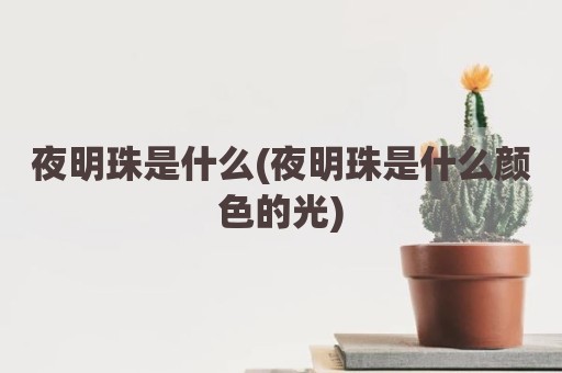 夜明珠是什么(夜明珠是什么颜色的光)