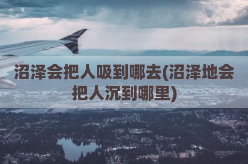 沼泽会把人吸到哪去(沼泽地会把人沉到哪里)