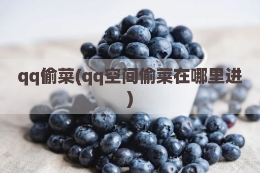 qq偷菜(qq空间偷菜在哪里进)