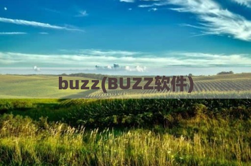 buzz(BUZZ软件)