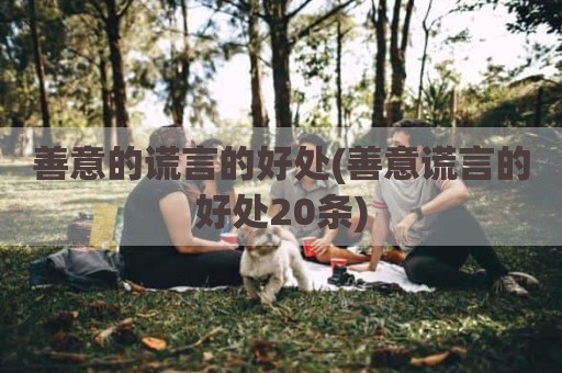 善意的谎言的好处(善意谎言的好处20条)