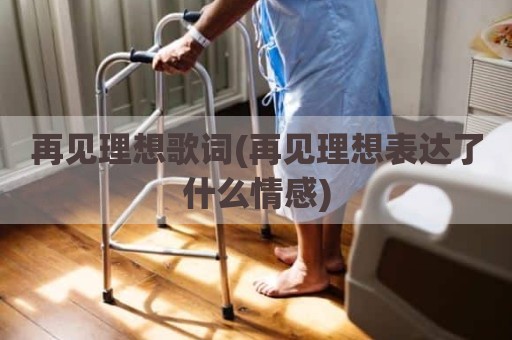 再见理想歌词(再见理想表达了什么情感)