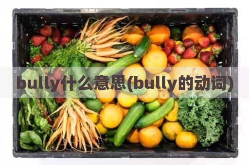 bully什么意思(bully的动词)