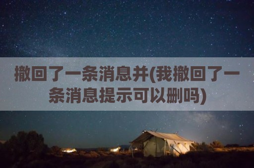 撤回了一条消息并(我撤回了一条消息提示可以删吗)