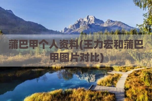 蒲巴甲个人资料(王力宏和蒲巴甲图片对比)
