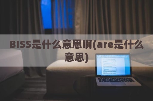 BISS是什么意思啊(are是什么意思)