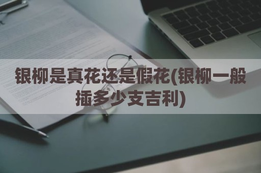 银柳是真花还是假花(银柳一般插多少支吉利)