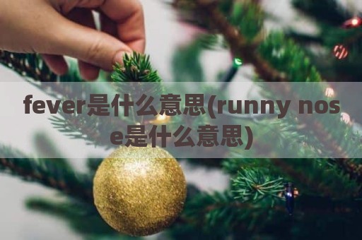 fever是什么意思(runny nose是什么意思)