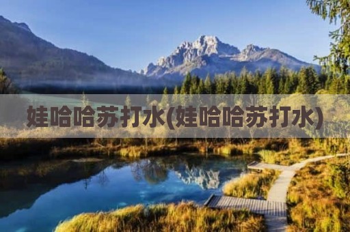娃哈哈苏打水(娃哈哈苏打水)