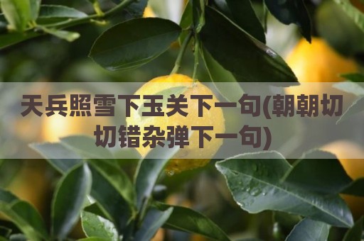 天兵照雪下玉关下一句(朝朝切切错杂弹下一句)