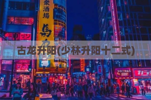 古龙升阳(少林升阳十二式)
