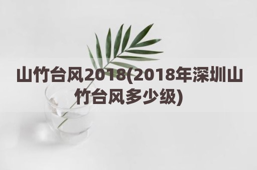 山竹台风2018(2018年深圳山竹台风多少级)