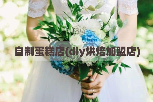 自制蛋糕店(diy烘焙加盟店)