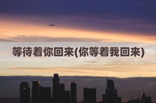 等待着你回来(你等着我回来)