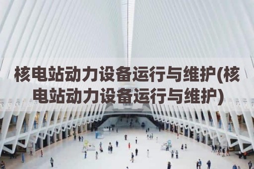 核电站动力设备运行与维护(核电站动力设备运行与维护)