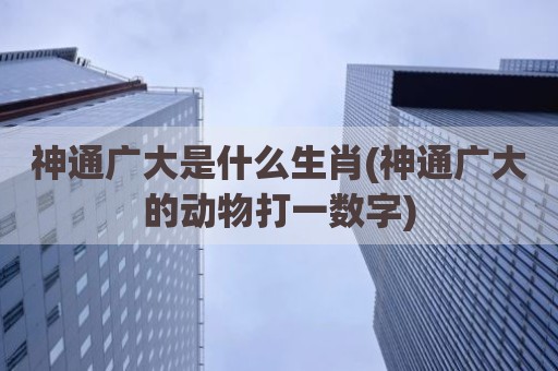 神通广大是什么生肖(神通广大的动物打一数字)