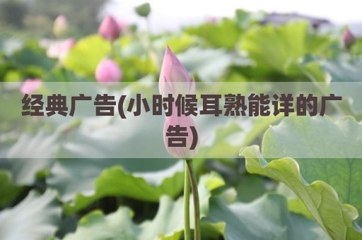经典广告(小时候耳熟能详的广告)