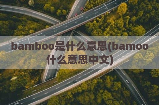 bamboo是什么意思(bamoo什么意思中文)