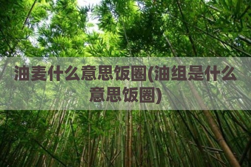 油麦什么意思饭圈(油组是什么意思饭圈)