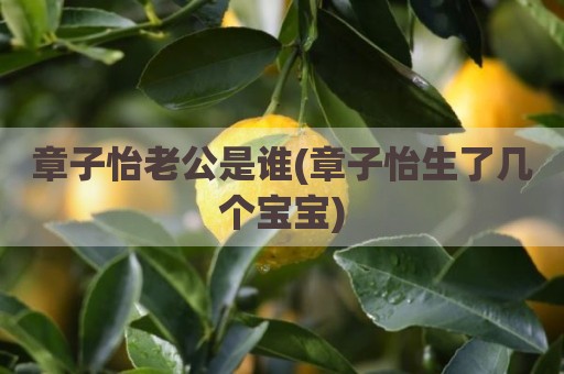 章子怡老公是谁(章子怡生了几个宝宝)
