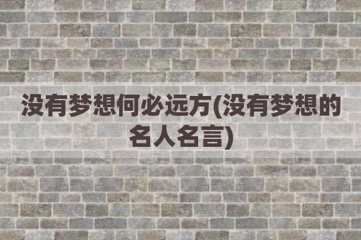 没有梦想何必远方(没有梦想的名人名言)