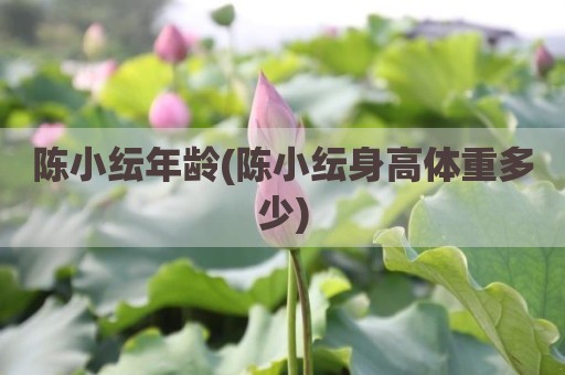 陈小纭年龄(陈小纭身高体重多少)