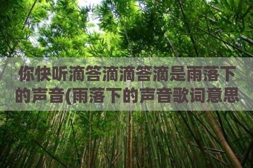 你快听滴答滴滴答滴是雨落下的声音(雨落下的声音歌词意思)