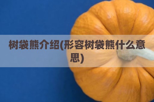 树袋熊介绍(形容树袋熊什么意思)