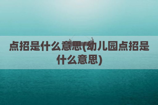 点招是什么意思(幼儿园点招是什么意思)
