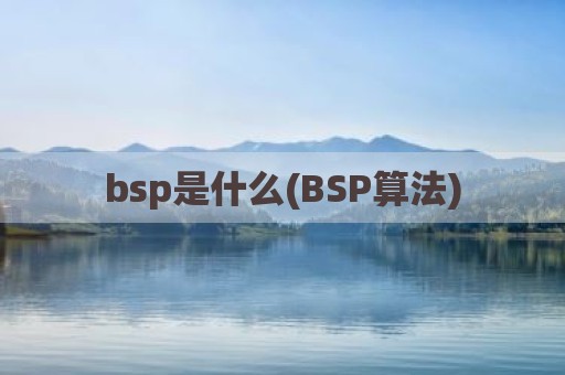bsp是什么(BSP算法)