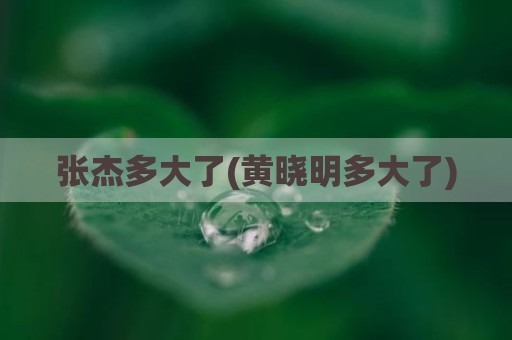 张杰多大了(黄晓明多大了)
