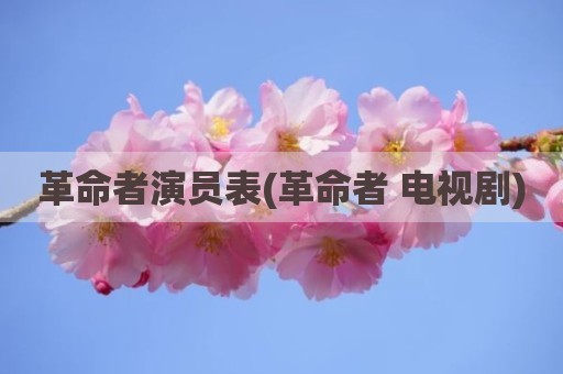 革命者演员表(革命者 电视剧)