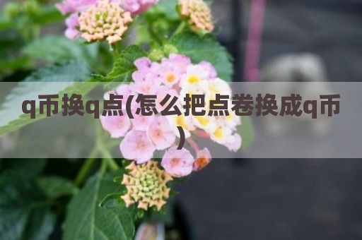 q币换q点(怎么把点卷换成q币)