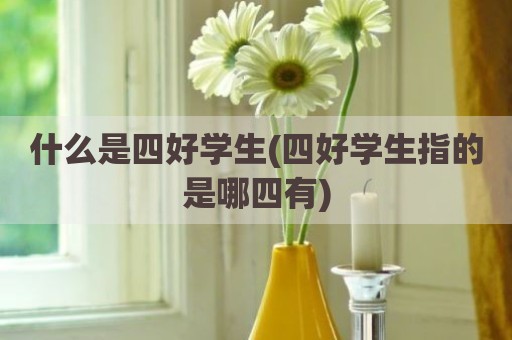什么是四好学生(四好学生指的是哪四有)