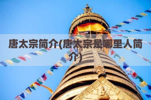 唐太宗简介(唐太宗是哪里人简介)