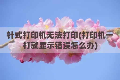 针式打印机无法打印(打印机一打就显示错误怎么办)