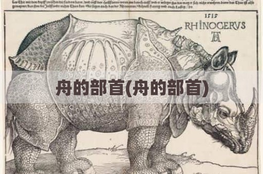 舟的部首(舟的部首)