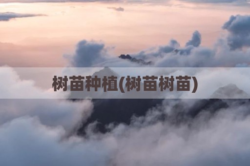 树苗种植(树苗树苗)