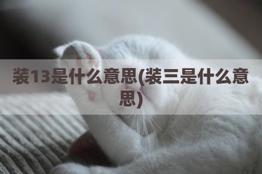 装13是什么意思(装三是什么意思)